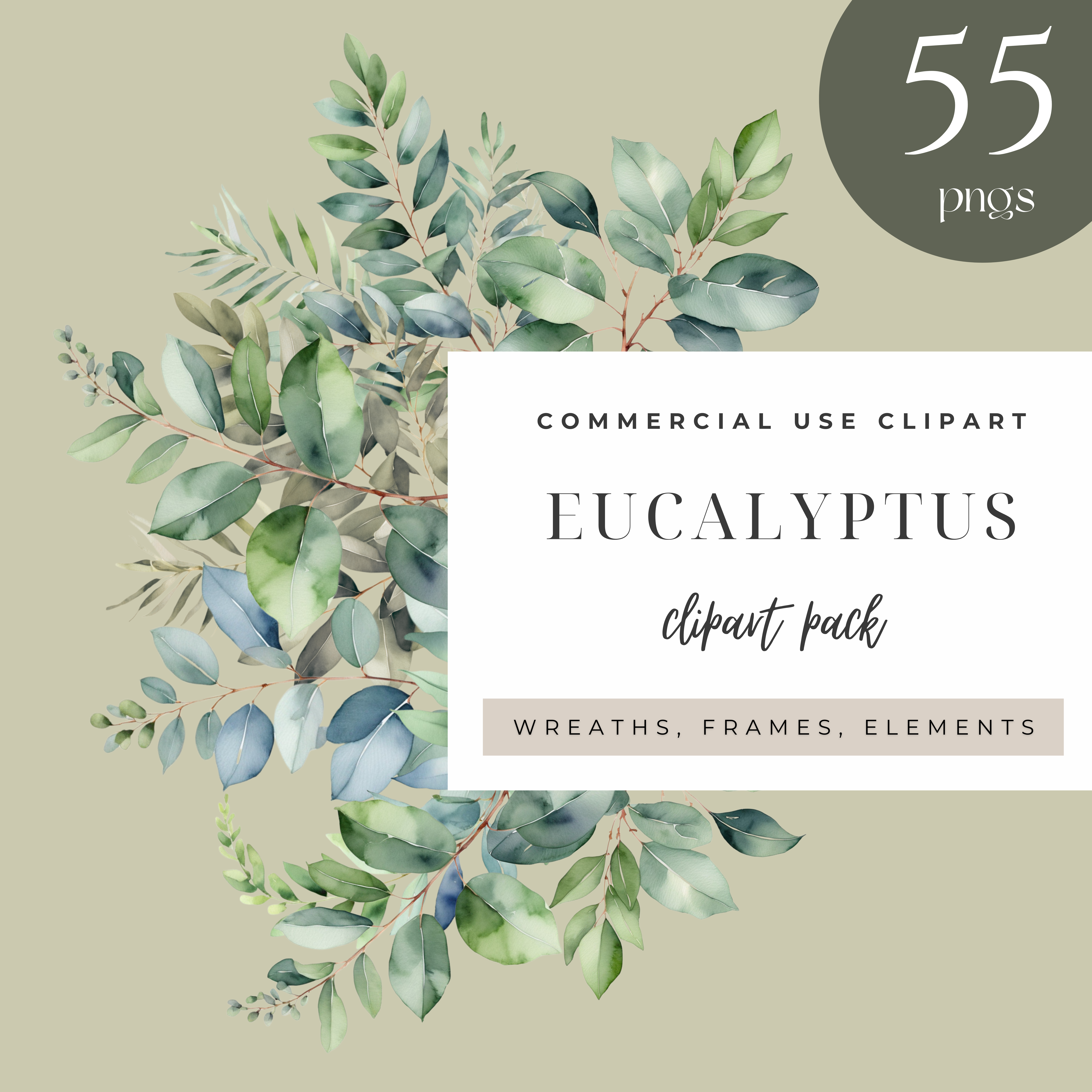 Eucalyptus Pack